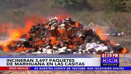 ¡Incineran 3,600 paquetes de marihuana decomisada en diversas operaciones!
