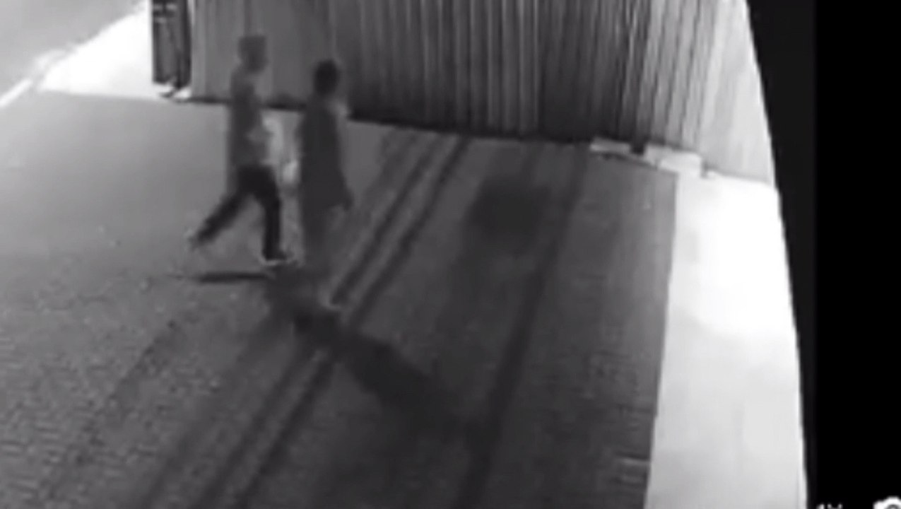 Vídeo mostra dupla arrombando empresa no Coqueiral e furtando acessórios de celulares