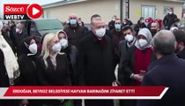 Erdoğan, Beykoz belediyesi hayvan barınağını ziyaret etti