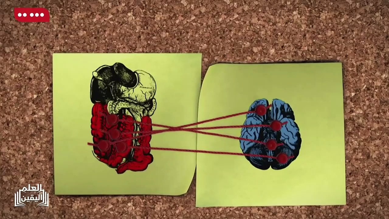 Untitled - video Dailymotion