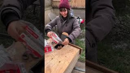 Building A DIY Squirrel Feeder for my Daughter