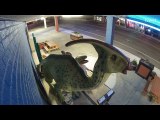 Stranger with Tools in Pocket Steals Dinosaur from Store