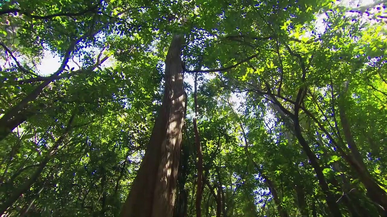 The Island with Bear Grylls Saison 1 - How We Chose The Island (EN)