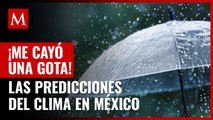 Éstas son las predicciones para el clima en México, según las Cabañuelas