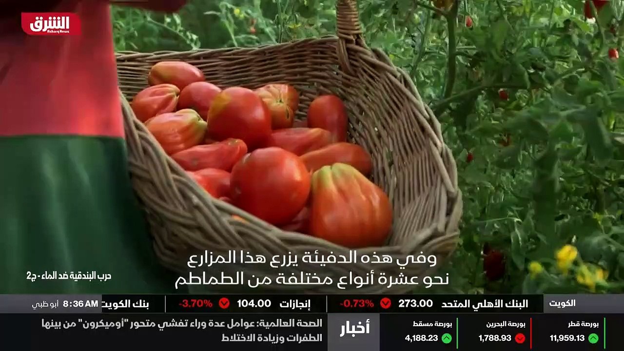 ...يكلف ما بين خمسة وخمسين الى خمسة وستين س...