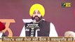 ਭਗਵੰਤ ਮਾਨ ਨੇ ਉਤਾਰੀ ਸਿੱਧੂ ਦੀ ਨਕਲ Bhagwant Maan on Navjot Sidhu | The Punjab TV