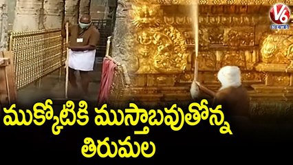 Tirumala Getting Ready For Mukkoti Ekadasi On 13th January 2022 _ V6 News