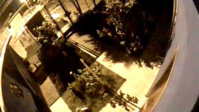 Câmeras registram tentativa de furto no Bairro Floresta