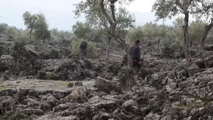 Zeytin çekirdeğinden tespih yapımını 76 yıldır sürdürüyor