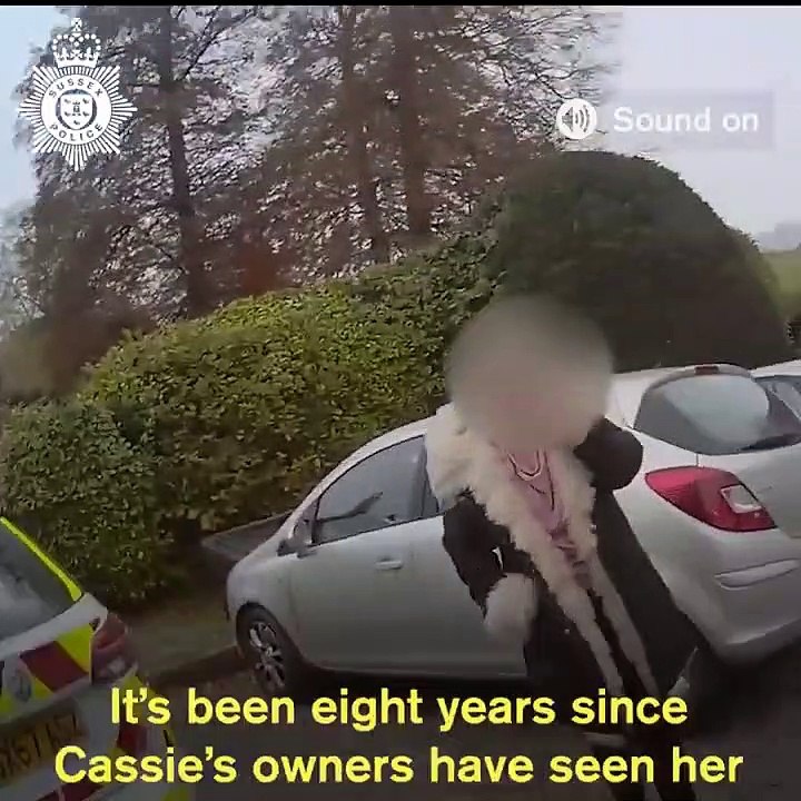 This is the moment cocker spaniel returns home after being stolen eight years ago