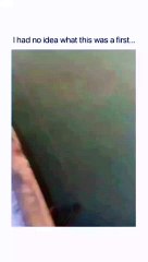 Waht the f****  is that 