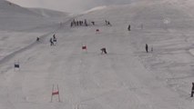 Alp Disiplini Kayak İl Birinciliği Yarışması