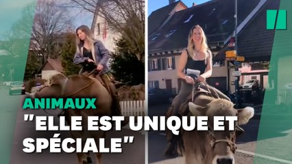 Cette dresseuse a fait de sa vache son animal de compagnie
