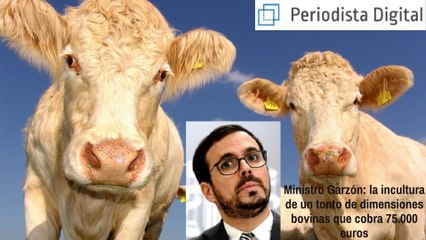 Ministro Garzón: la incultura de un tonto de dimensiones bovinas que cobra 75.000 euros