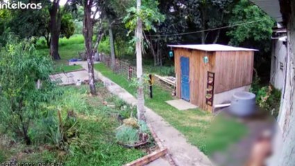 Idoso é flagrado caminhando pelado pelas margens da BR-277