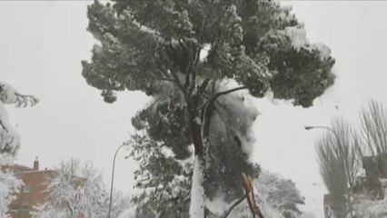 Los efectos de Filomena, todavía visibles