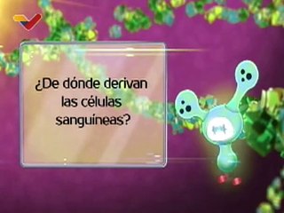 Nanouniverso | Consecuencias del consumo de comida chatarra y fumar cigarrillo