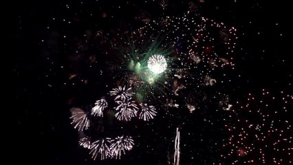 Fireworks Slow Motion | #Shorts