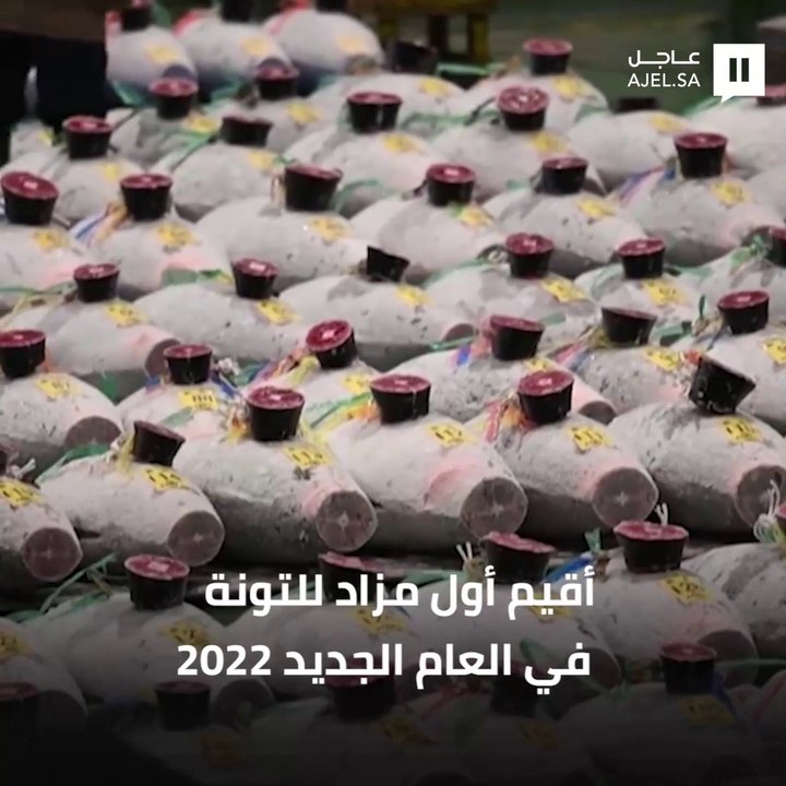 بيع سمكة بأكثر من 145 ألف دولار باليابان في مزا...