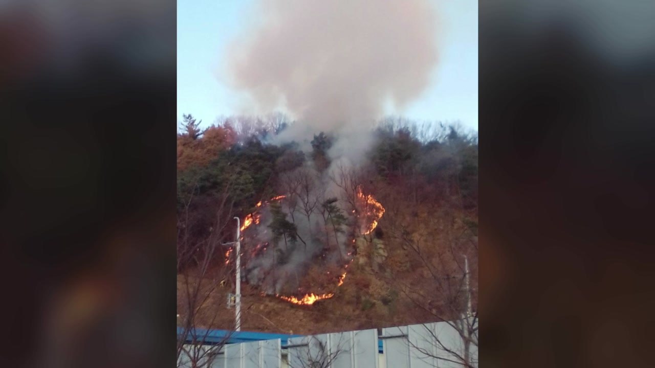 경북 고령 야산에 불...1,300여㎡ 소실 / YTN