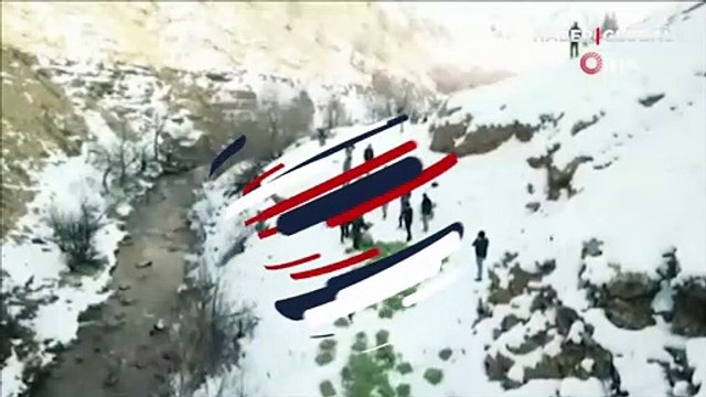 Tunceli'de dağ keçileri doğaya bırakılan yeme akın etti! O anlar kamerada