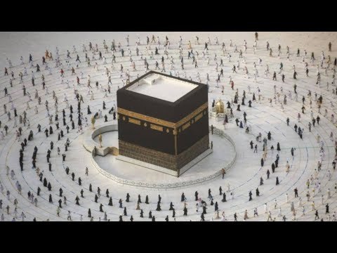 عضو عمومية غرفة شركات السياحة يوضح ضوابط موسم الحج لهذا العام