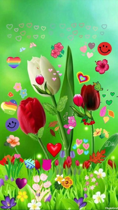 Happy evening flowers