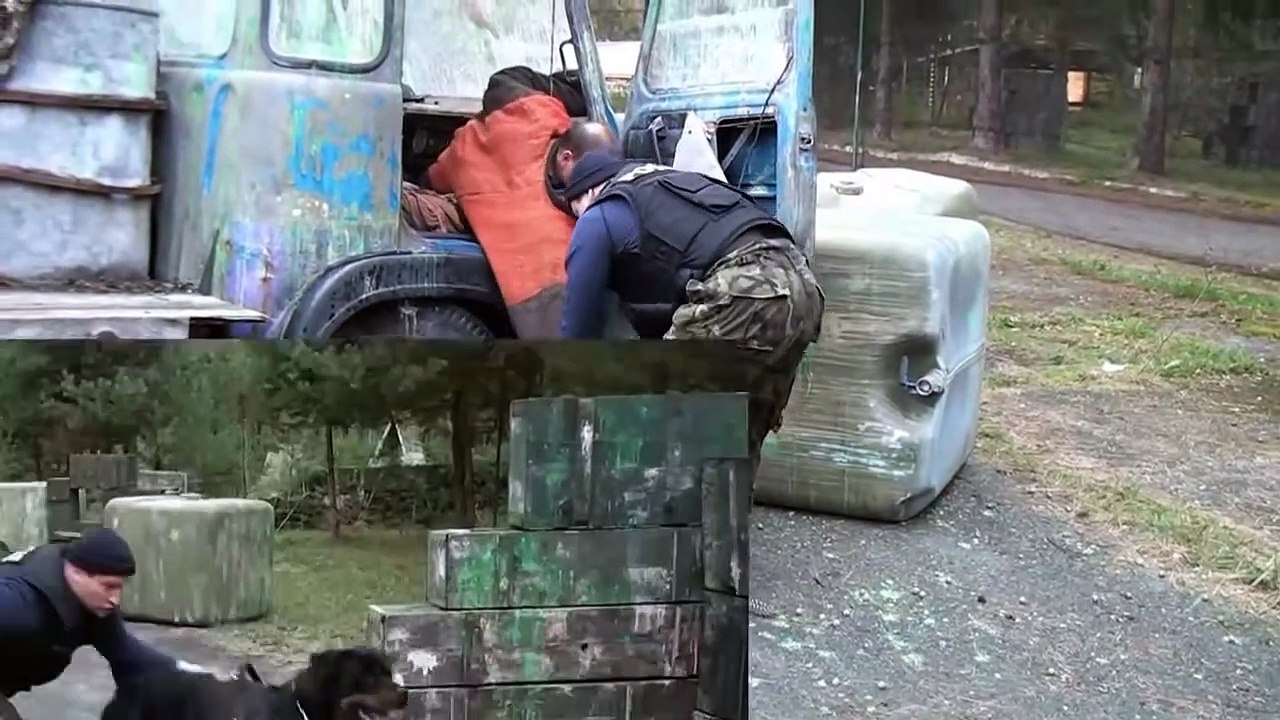The Power of Rottweiler