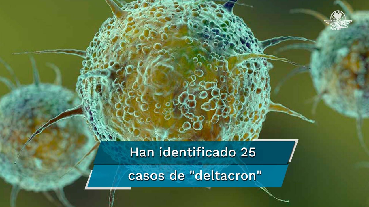 Hallan la variante "deltacron" en Chipre, una combinación de las variantes delta y ómicron