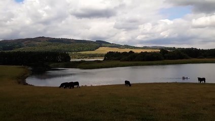 Lochore Meadows