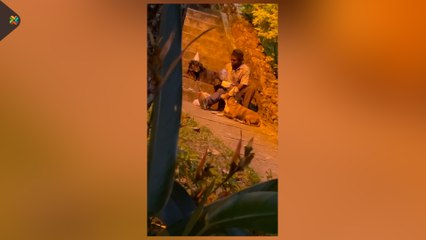 ext-cumpleaños-mascots-080122