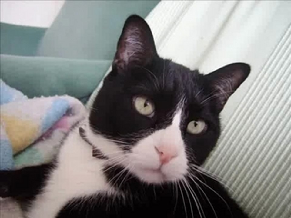 Youcef Abdjaoui qim kan qim dédicace à Matoub