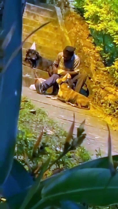 La conmovedora historia del hombre en condición de calle que les celebró el cumpleaños a sus perros
