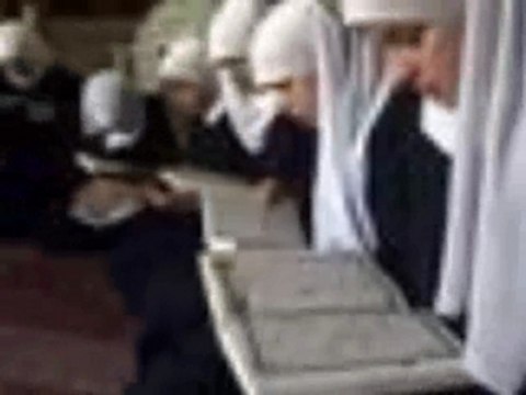 Hijabi,niqabi - soeurs, muslima, musulmanes, islam