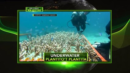 Amazing Earth: Underwater plantito and plantita | Teaser Ep. 187