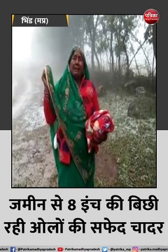 भोपाल. भिंड, निवाड़ी सहित प्रदेशभर में ओलावृष्टि से फसल बर्बाद