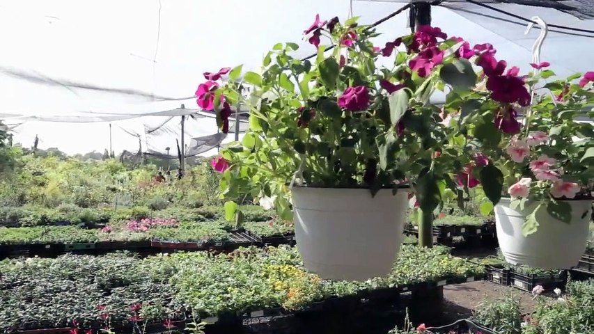 Homicide - Tonatihu AGUILAR -True Crime Documentary