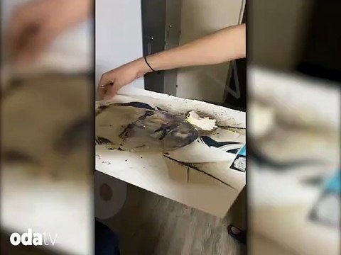 Kabataş Erkek Lisesi'nde Rezalet: Atatürk Posterini Delik Deşik Ettiler