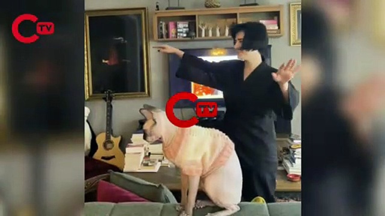 Gonca Vuslateri'den 'Cübbeli Ahmet' dansı: 'Öp beni, yut beni, yala beni'