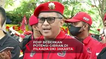 Sekejn PDIP Beberkan Potensi Gibran di Pilkada DKI Jakarta, Diminta Lakukan Ini di Surakarta