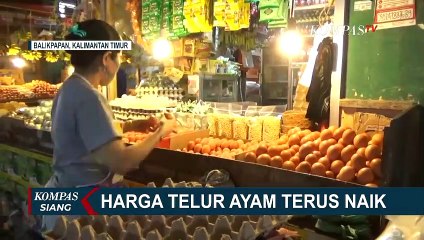 Tembus Rp 54.000 per Satu Rak, Pedagang Berharap Harga Telur Segera Stabil di Pertengahan Januari