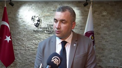 Kovid-19 salgınıyla hayvan aşılarında yurt dışından tedarik yavaşladı