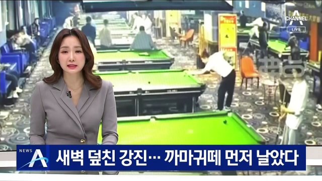 中 새벽 덮친 규모 6.9 강진…까마귀떼 먼저 날았다