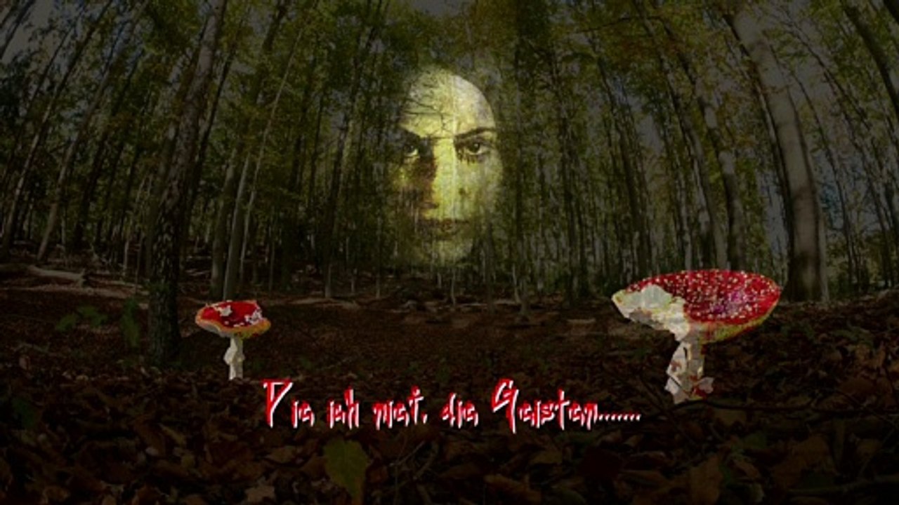 Die ich rief, die Geister ...