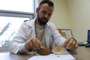 Son dakika haber | Türkiye'de tatlı su midyesi türü 42'ye yükseldi