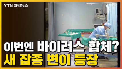 [자막뉴스] 델타에 오미크론 합쳐졌다...'델타크론' 출몰 / YTN