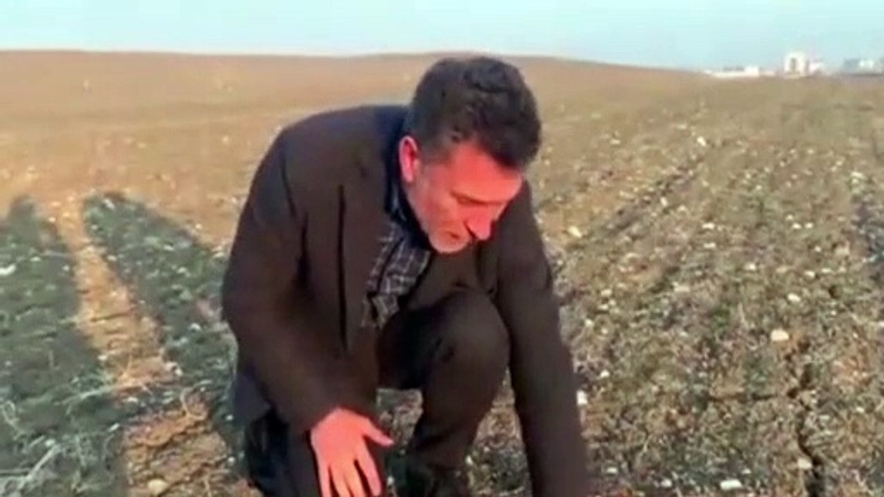 Buğday tarlalarını gezen CHP'li Sarıbal: Böyle devam ederse ülkeyi ciddi bir gıda krizi ve kıtlık bekliyor