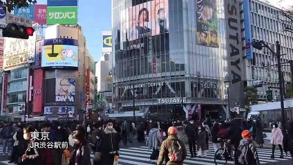 羽田空港、浜松町駅、渋谷駅、田町駅、上野駅、東京駅（青山学院大学、慶應義塾大学、皇居前広場、東京大学）