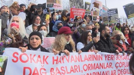 SOKAK HAYVANLARI İÇİN KADIKÖY RIHTIM'DA BULUŞTULAR