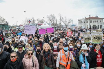 Hayvanseverler Kadıköy'de sokak hayvanları için toplandı